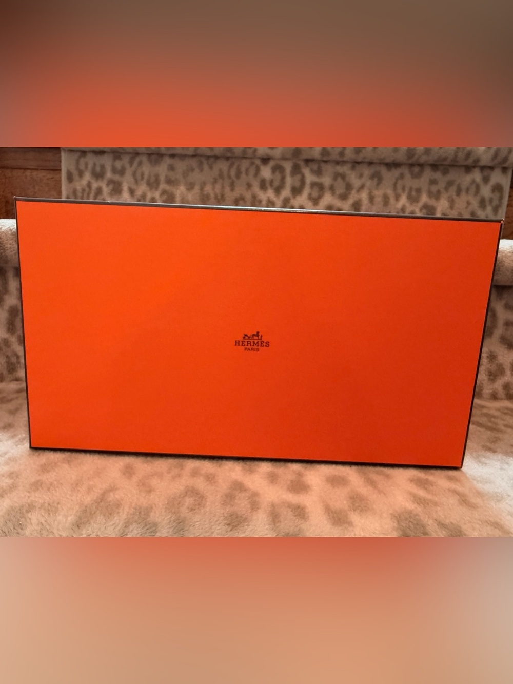 Hermès Orange Box with Black Logo